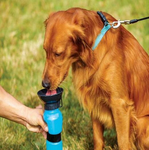 Portable Dog Water Bottle – Leak - Proof Travel Pet Drinker with Food Container - WhiskerNook